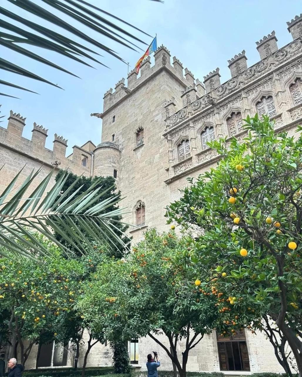 Mirador 1 Del Mercado Central - Habitacion Con Bano Privado En El Centro De La Ciudad Vella Walencja Zewnętrze zdjęcie